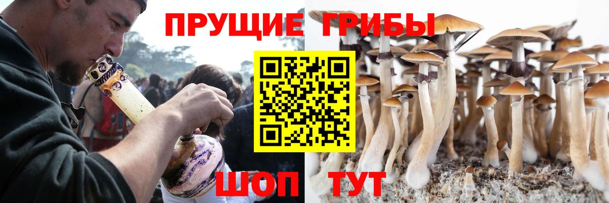 Псилоцибиновые грибы Cubensis  Вход с VPN  Владикавказ 